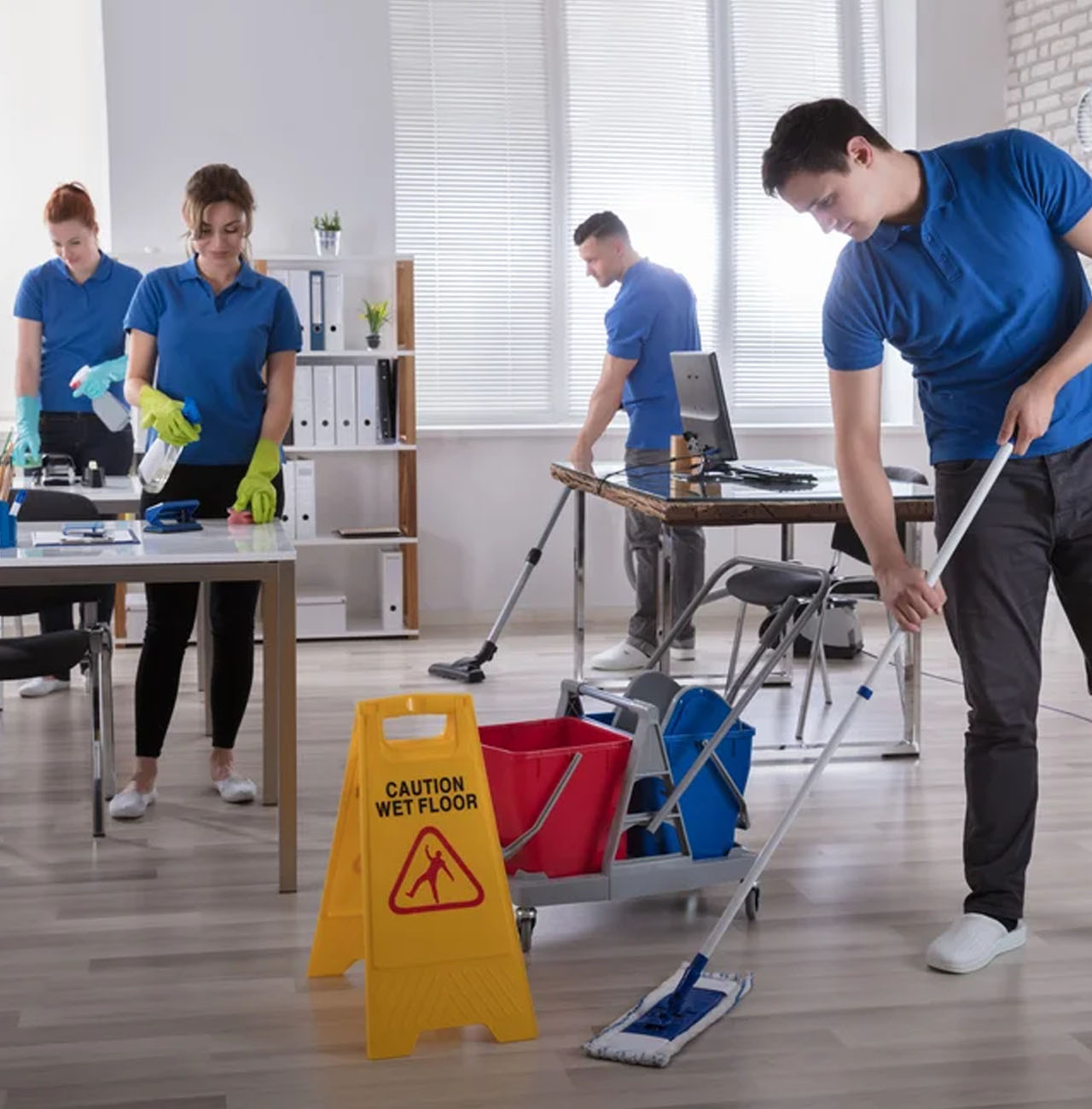 Licensed and Insured